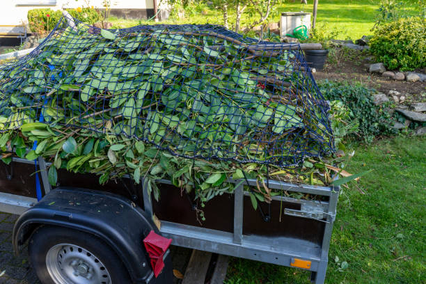 Best Same-Day Junk Removal Services  in North Branch, MN